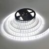 VENCENT  RUBAN LED 8MM 9W 65000K