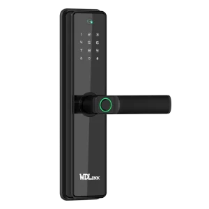SERRURE INTELLIGENTE WD2P