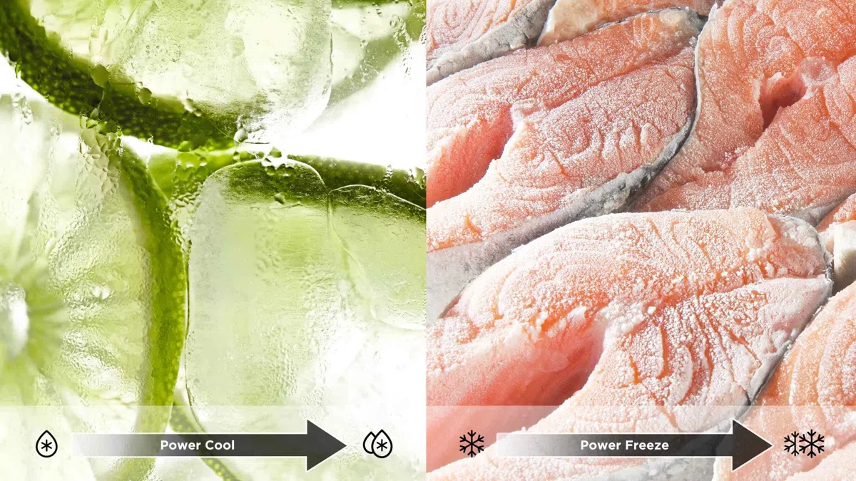 Fonctions réfrigérateur TCL combiné