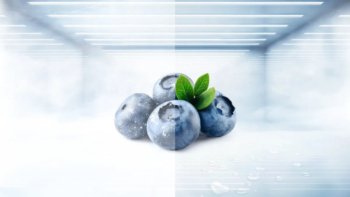 Capacité mini réfrigérateur TCL 50 L